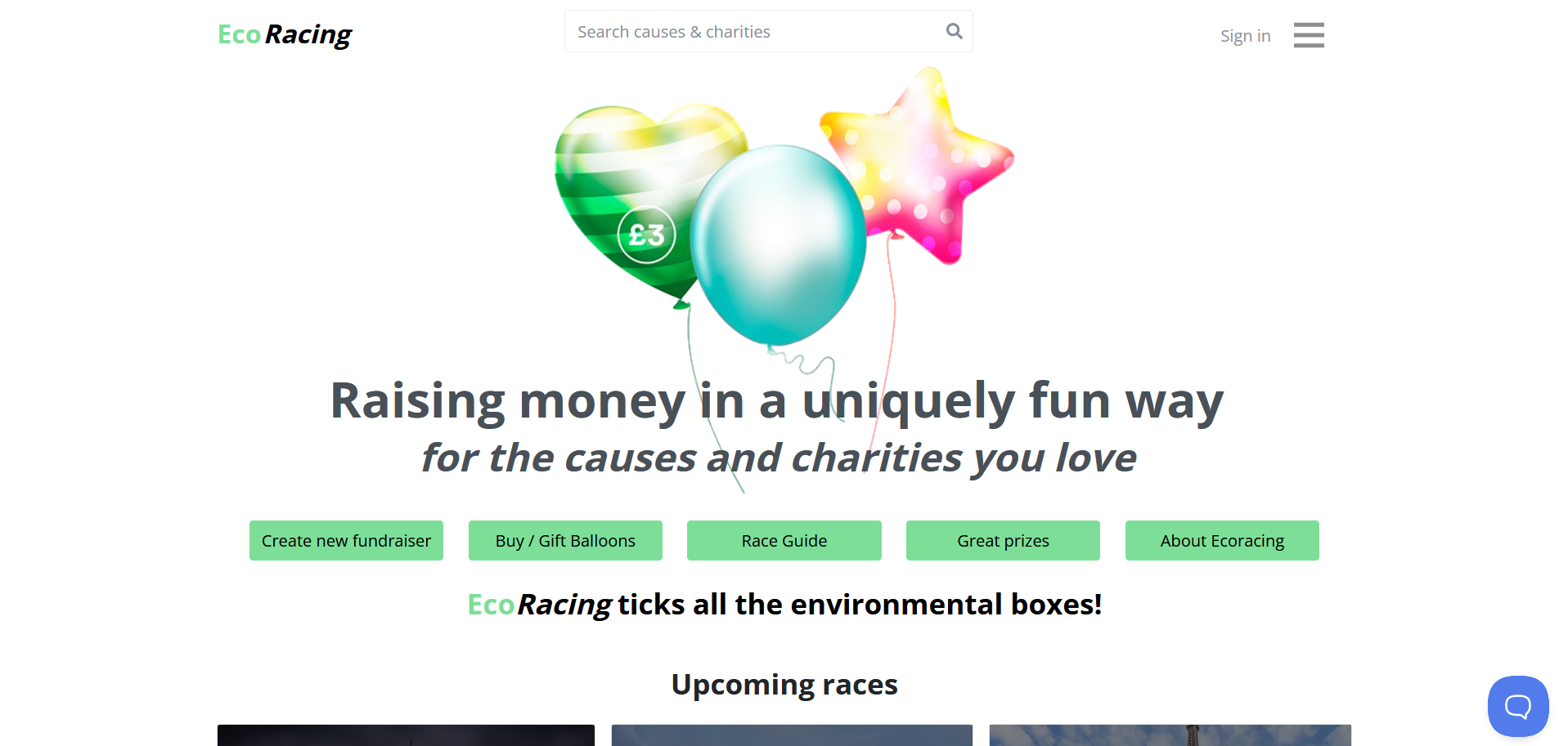 Ecoracing.co screenshot