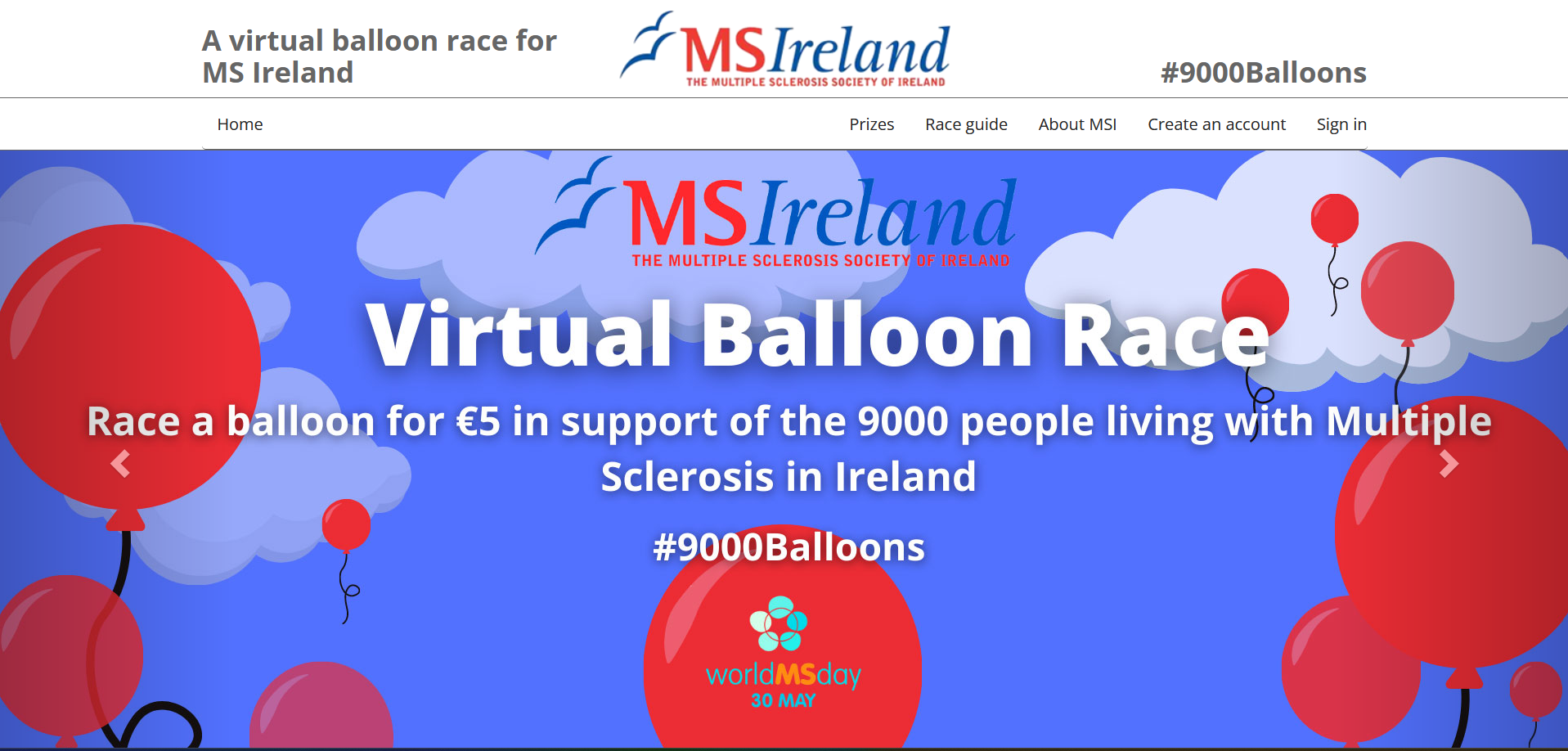 MS Ireland example screenshot